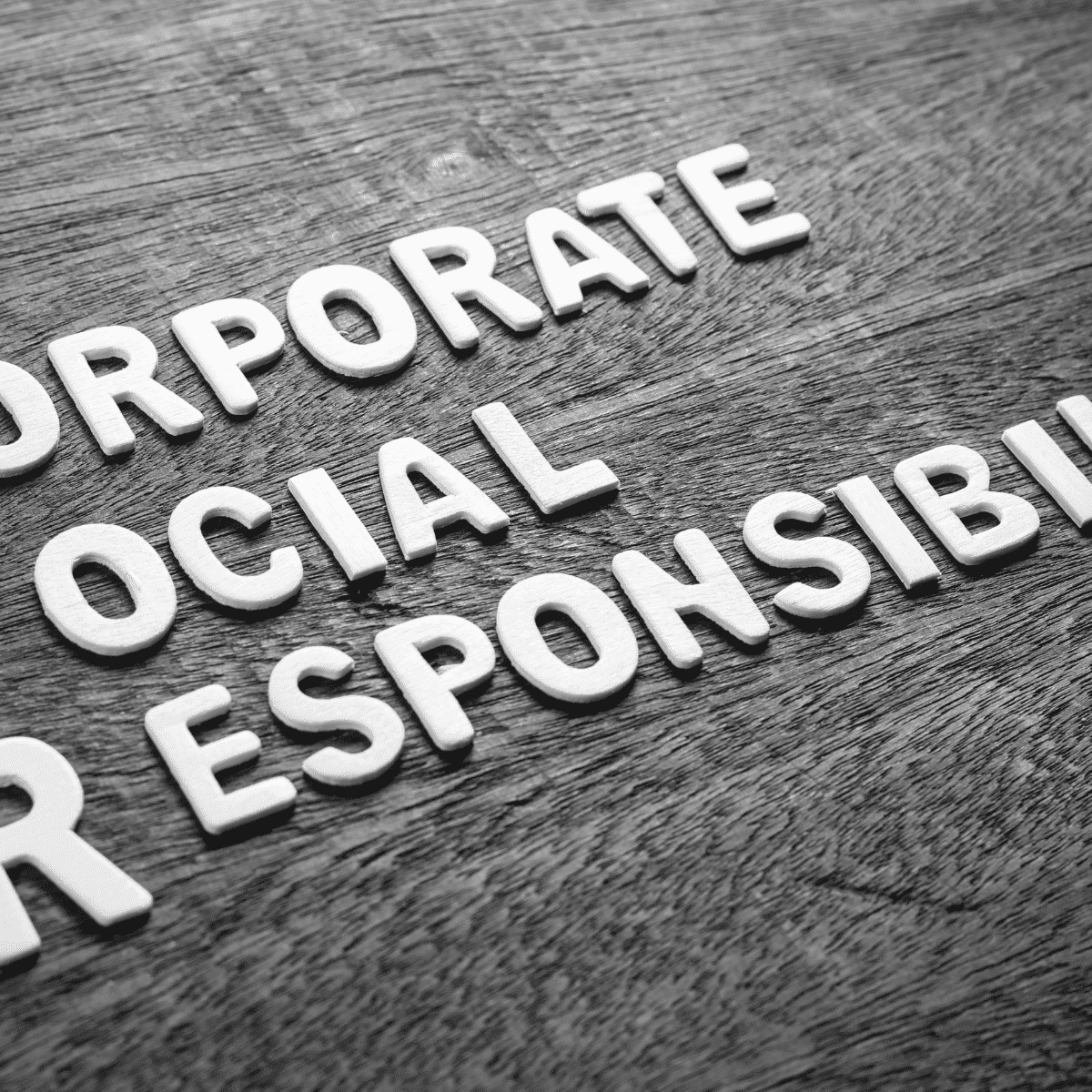 Social Responsibility – AL-Alhram Plastic